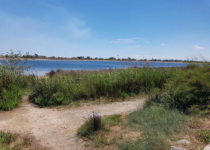 Ayguades Maison De L'etang 3 Personnes, Wifi Gratuit